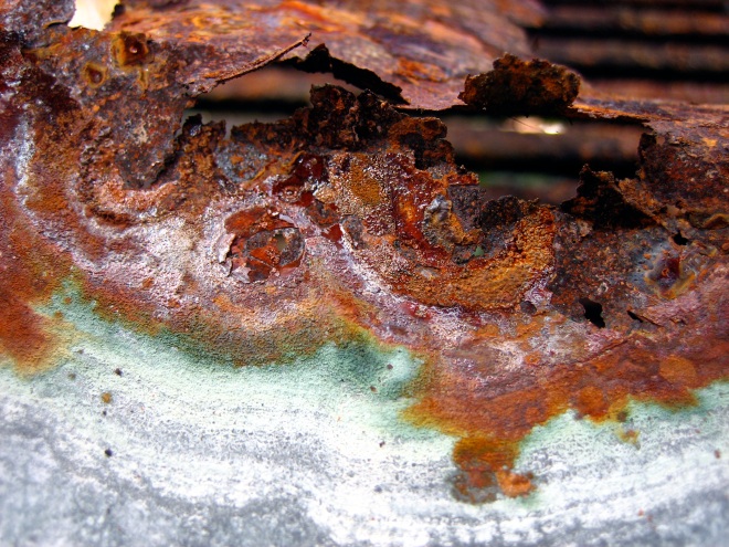 rusted bbq drip tray