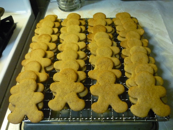 Successful gingerbread cloning experiment.
